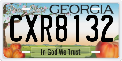 GA license plate CXR8132