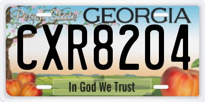 GA license plate CXR8204