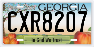 GA license plate CXR8207