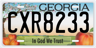 GA license plate CXR8233