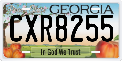 GA license plate CXR8255