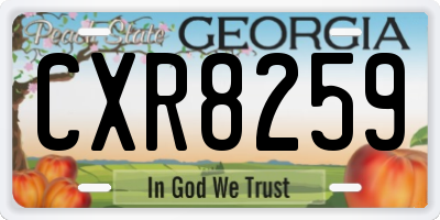 GA license plate CXR8259