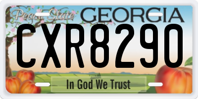 GA license plate CXR8290