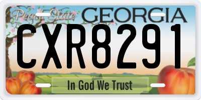 GA license plate CXR8291