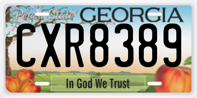GA license plate CXR8389