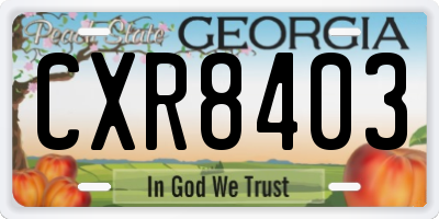 GA license plate CXR8403