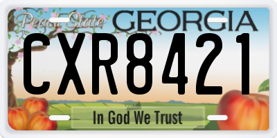 GA license plate CXR8421