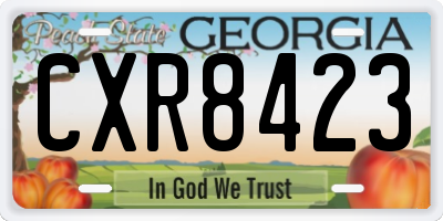 GA license plate CXR8423