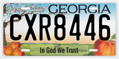 GA license plate CXR8446