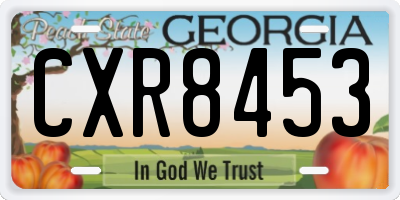 GA license plate CXR8453
