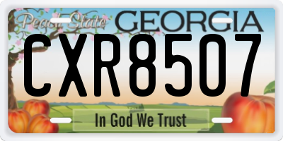 GA license plate CXR8507
