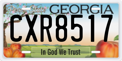 GA license plate CXR8517