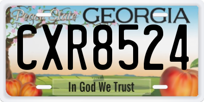 GA license plate CXR8524