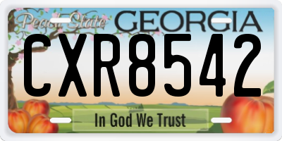 GA license plate CXR8542