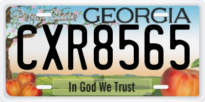 GA license plate CXR8565