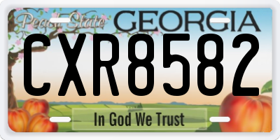 GA license plate CXR8582