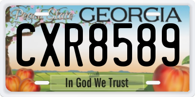 GA license plate CXR8589
