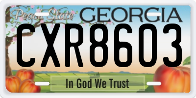 GA license plate CXR8603