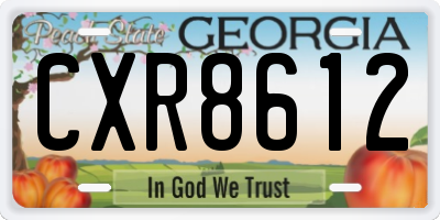 GA license plate CXR8612