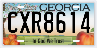 GA license plate CXR8614