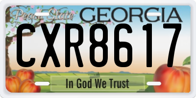 GA license plate CXR8617