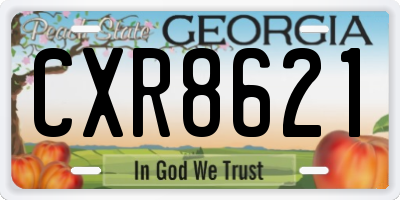 GA license plate CXR8621