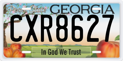 GA license plate CXR8627