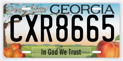 GA license plate CXR8665