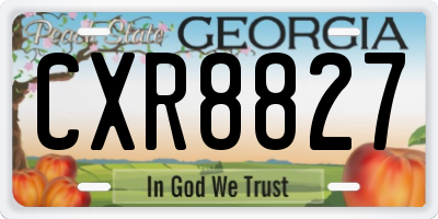 GA license plate CXR8827