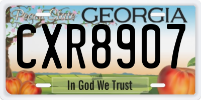 GA license plate CXR8907