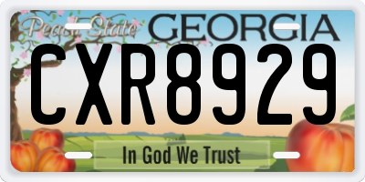 GA license plate CXR8929