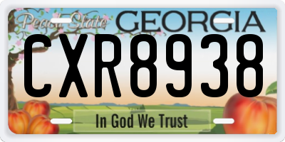 GA license plate CXR8938