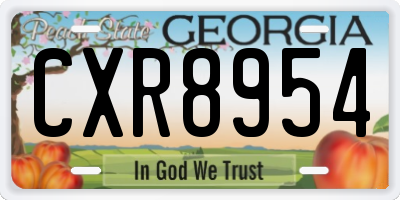 GA license plate CXR8954