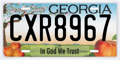 GA license plate CXR8967