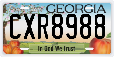 GA license plate CXR8988