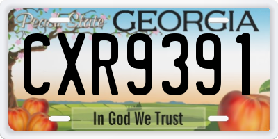 GA license plate CXR9391