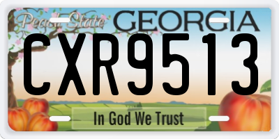 GA license plate CXR9513