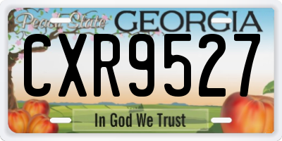 GA license plate CXR9527