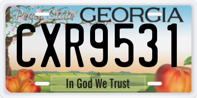 GA license plate CXR9531