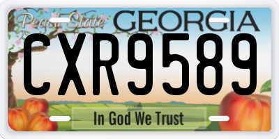 GA license plate CXR9589