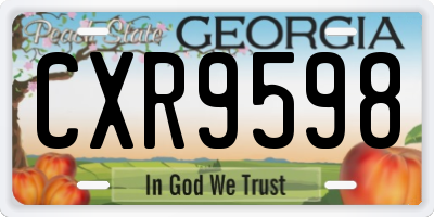 GA license plate CXR9598