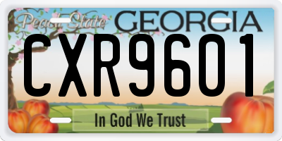 GA license plate CXR9601