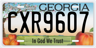 GA license plate CXR9607