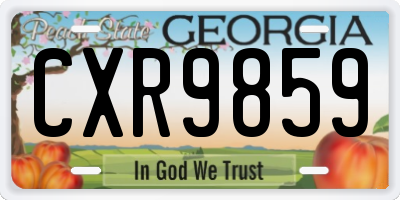 GA license plate CXR9859