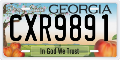 GA license plate CXR9891