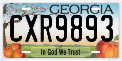GA license plate CXR9893