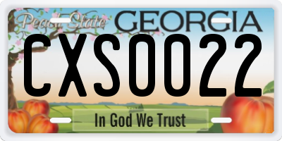 GA license plate CXS0022