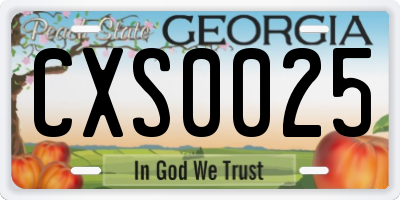 GA license plate CXS0025