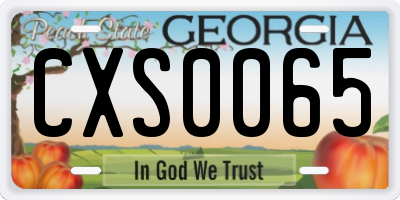 GA license plate CXS0065