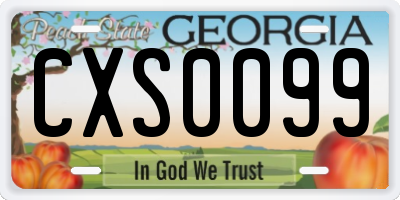 GA license plate CXS0099